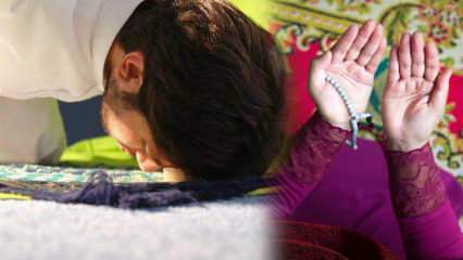 Tarawih maldos dorybės! Kaip tarawiho malda atliekama namuose? Ar tarawihas atlieka 8 rakas?
