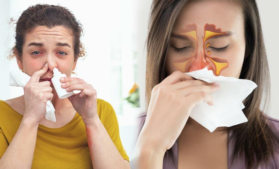Kas yra naudinga nosies užgulimui? Nosies užgulimo sprendimas be vaistų!