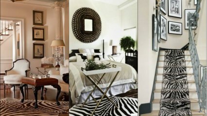 „Zebra“ mada dekoruojant namus