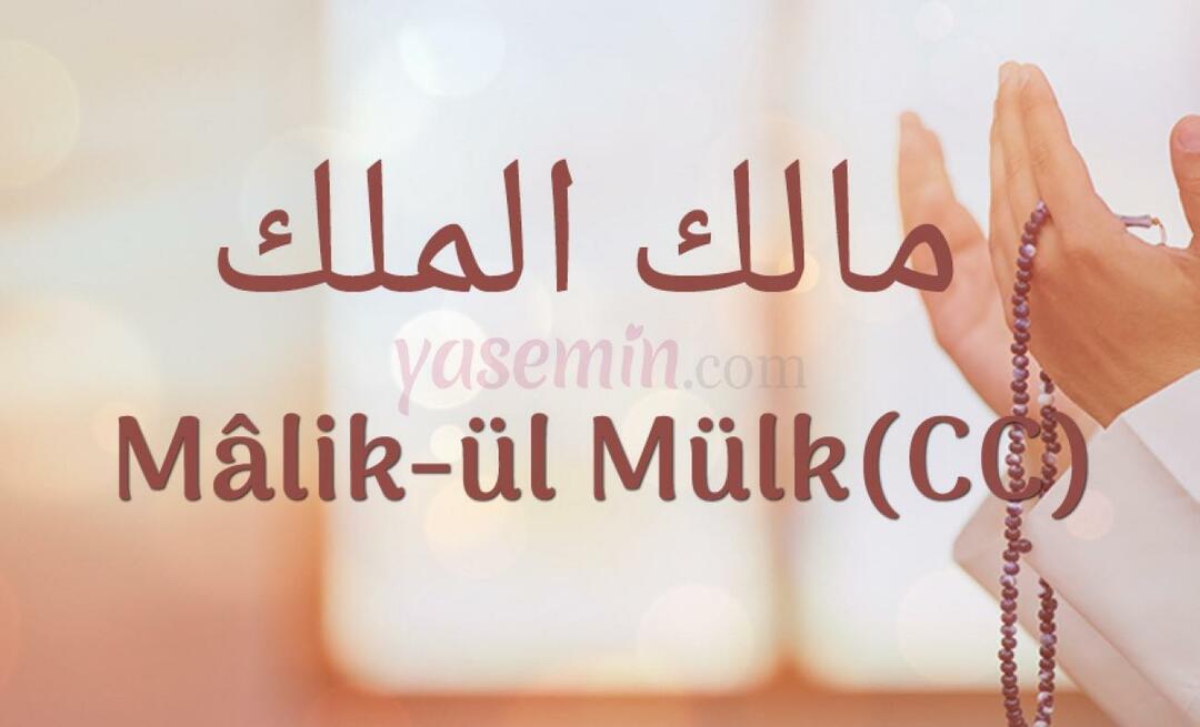 Ką reiškia Malik-ul Mulk, vienas iš gražiausių Alacho vardų (swt)?