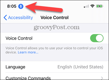 „iPhone Voice Control“ įgalinta