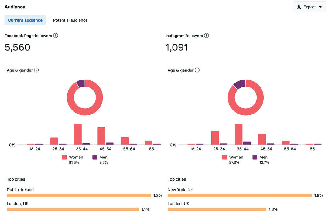 Kaip-padaryti-metinis-socialinės medijos-audito-patikrinti-audience-metrics-business-suite-demographics-locations-facebook-pages-Instagram-accounts-example-7