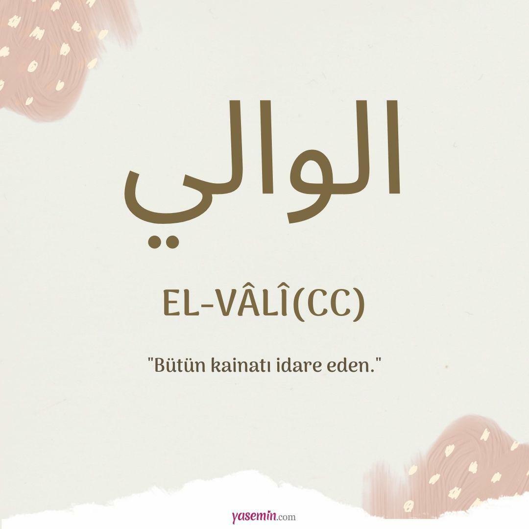 Ką reiškia al-Vali (c.c)?