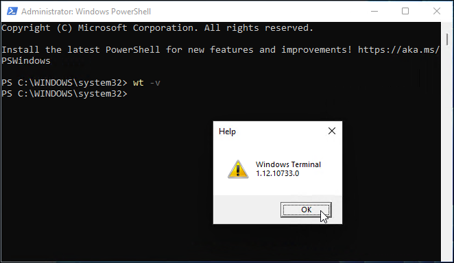Windows terminalo versija