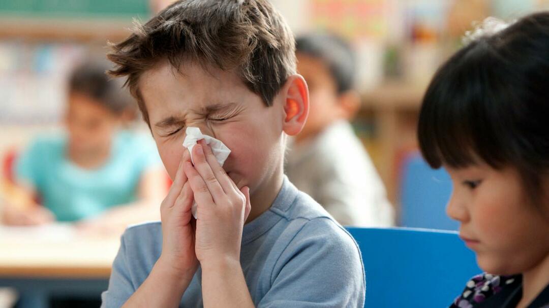 sezoninis gripas