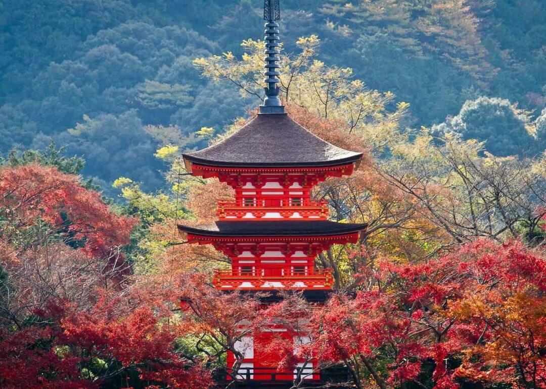 Kioto panorama
