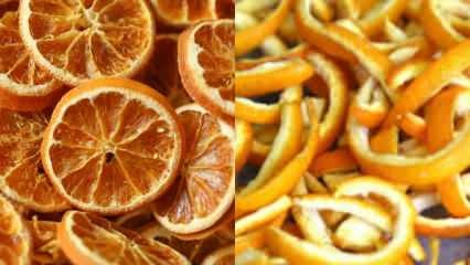 Kaip apelsinas džiovinamas? Daržovių ir vaisių džiovinimo būdai namuose