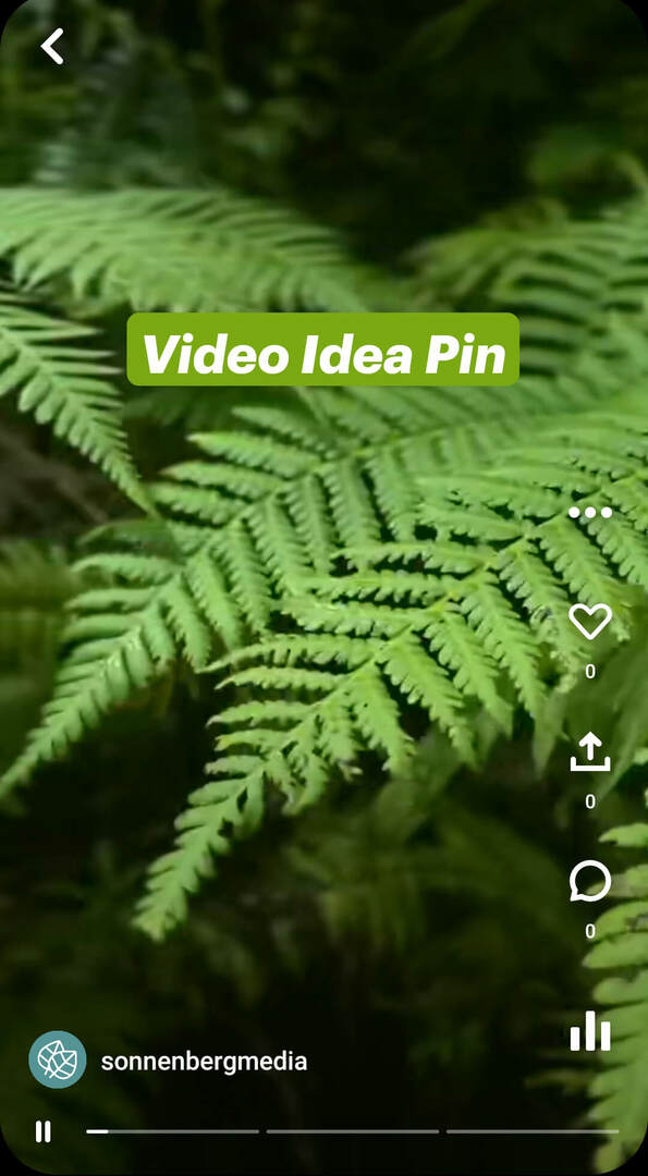 kas-are-pinterest-idea-pins-sonnenbergmedia-video-pin-example-1