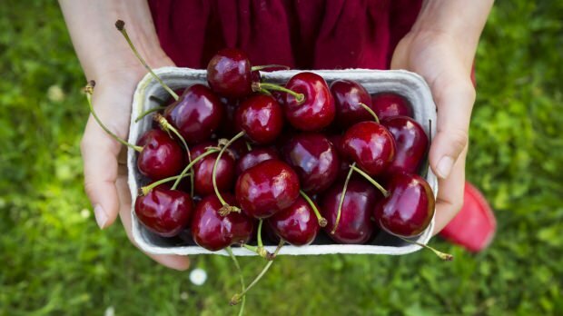 Koks vyšnios pranašumas odai? Kaip pasidaryti vyšnių kaukę namuose?