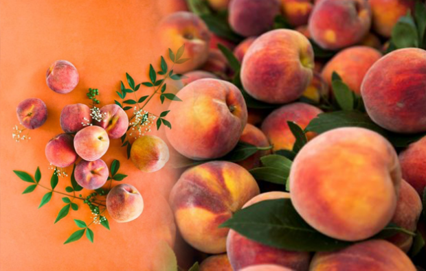 Kaip sudaryti persikų dietą
