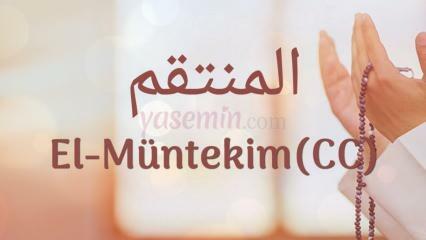 Ką reiškia Al-Muntakim (c.c)? Kokios yra Al-Muntakimo (c.c) dorybės?