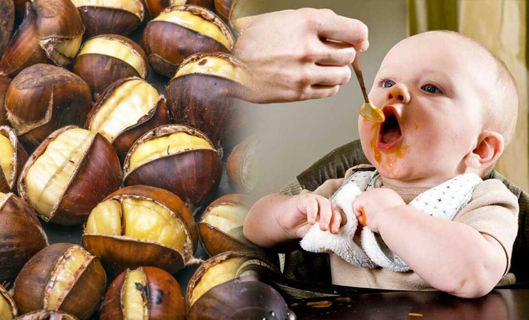 Ar kūdikiai gali valgyti kaštonus? Kaip pasigaminti kaštonų pudingą?