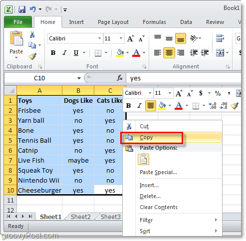 nukopijuokite visą „Excel“ 2010 duomenų lapą, kad galėtumėte konvertuoti maketą