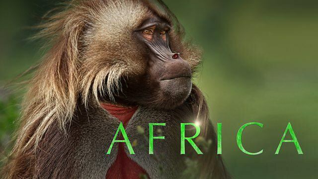 Afrika / Afrika (2013 m.)