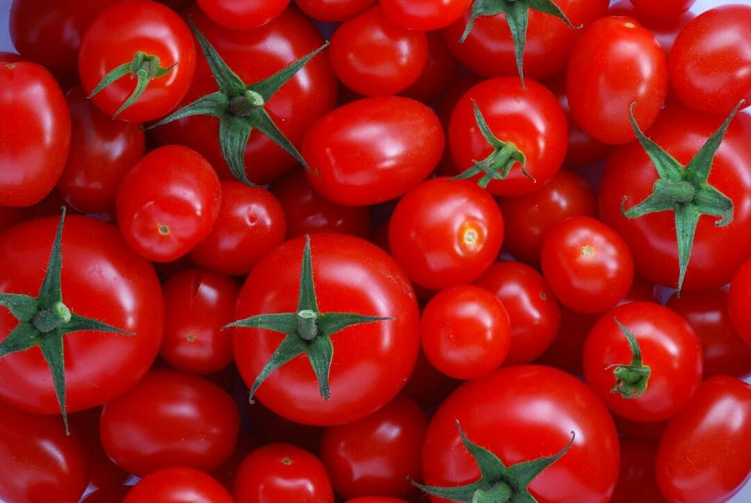Kaip pasirinkti menemenlikus pomidorus