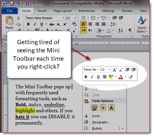 Pašalinkite „Mini“ įrankių juostą „Word 2007“ ir „Word 2010“