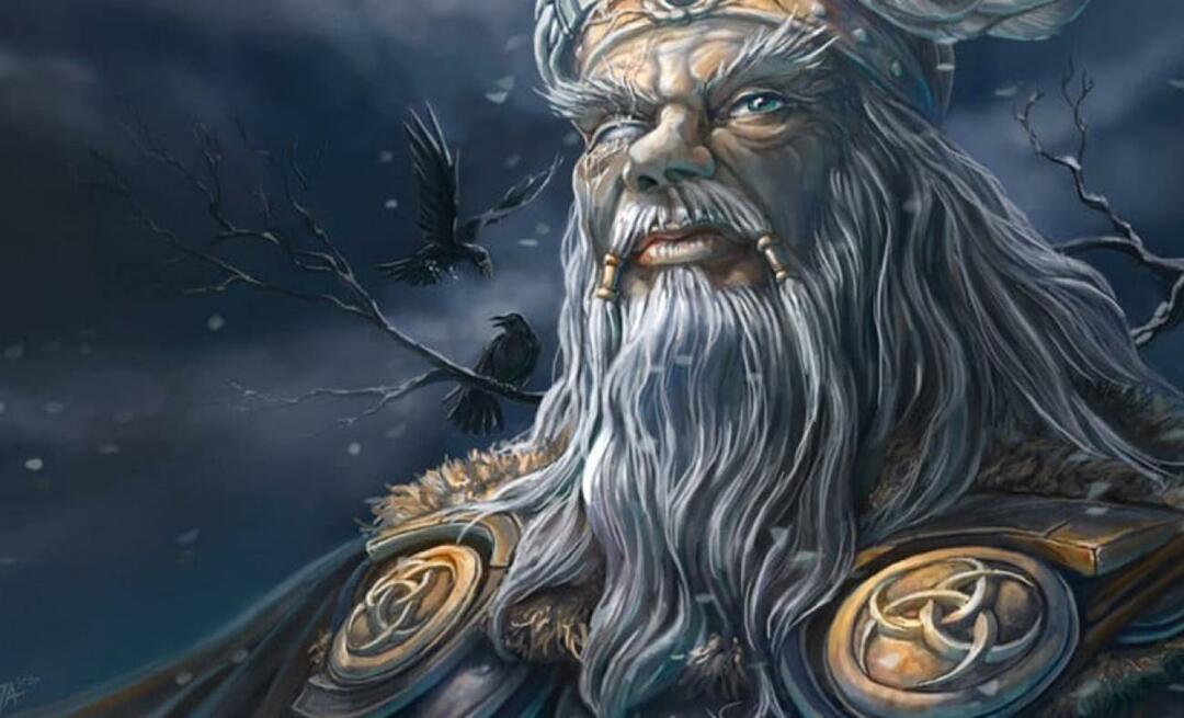Ar vikingų dievas Odinas iš tikrųjų yra turkas? Švedijos istorijos tėvas vieną po kito pasakojo faktus