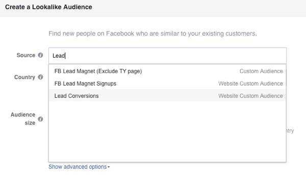 Lauke Šaltinis „Facebook“ pasirinkite savo svetainės pasirinktinę auditoriją.