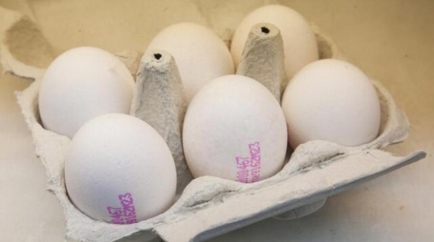 Kaip suprantamas ekologiškas kiaušinis? Ką reiškia kiaušinio kodai?