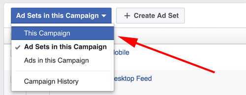 „facebook“ skelbimų tvarkyklės pasirinkta kampanija