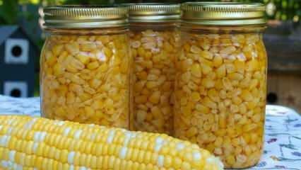 Kaip laikomi kukurūzai? Paprasčiausi kukurūzų laikymo būdai! Žieminių kukurūzų paruošimas