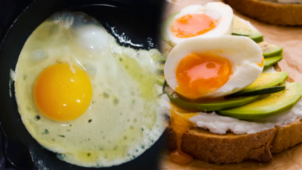 Kokie aliejai yra naudingi mūsų sveikatai? Jei vartojate nepakankamai virtą kiaušinį ...