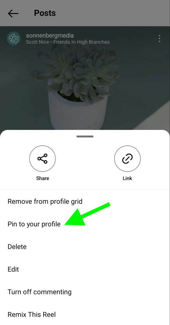 kaip-to-instagram-pin-reels-profile-grid-sonnenbergmedia-step-1