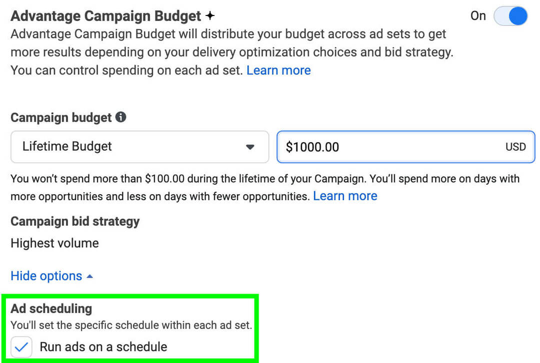 kaip-paleisti-skambinti-skelbimus-facebook-create-schedule-run-ads-on-a-schedlue-box-enable-advantage-campaign-budget-ad-scheduling-example-6