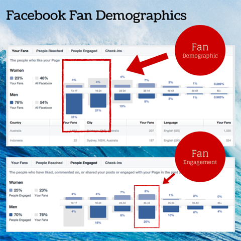 „facebook“ gerbėjų demografinė diagrama