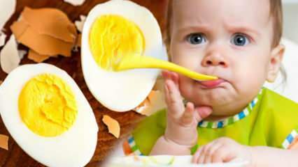 Kaip kiaušinių trynius reikia duoti kūdikiams? Kiek mėnesių reikia pradėti kiaušinį? Kūdikių kiaušinių receptas