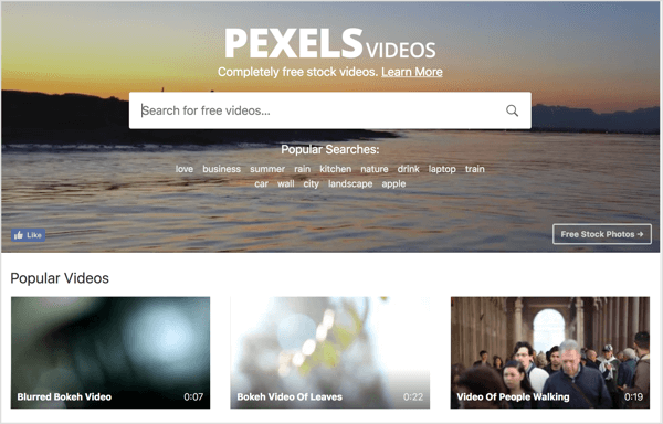 „Pexels“ siūlo nemokamą akcinį vaizdo įrašą, kurį galite naudoti savo „LinkedIn“ vaizdo įrašo skelbimuose.