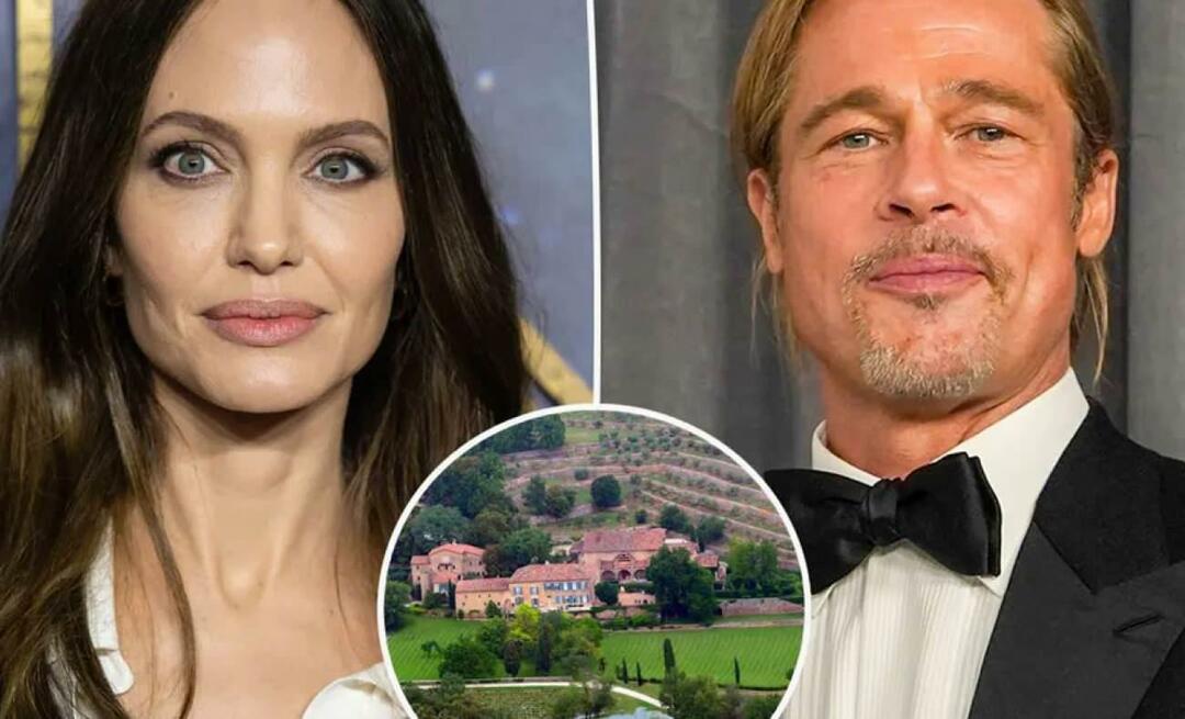 Taikos signalas iš Angelinos Jolie ir Brado Pitto Miraval pilies byloje, grįžtantis prie gyvatės istorijos!
