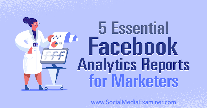 5 pagrindinės „Facebook Analytics“ ataskaitos rinkodaros specialistams, autorė Mariia Bocheva, socialinės žiniasklaidos ekspertė.