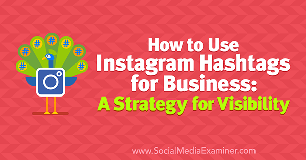 Kaip naudoti „Instagram“ hashtagus verslui: Jenno Hermano matomumo strategija socialinės žiniasklaidos eksperte.