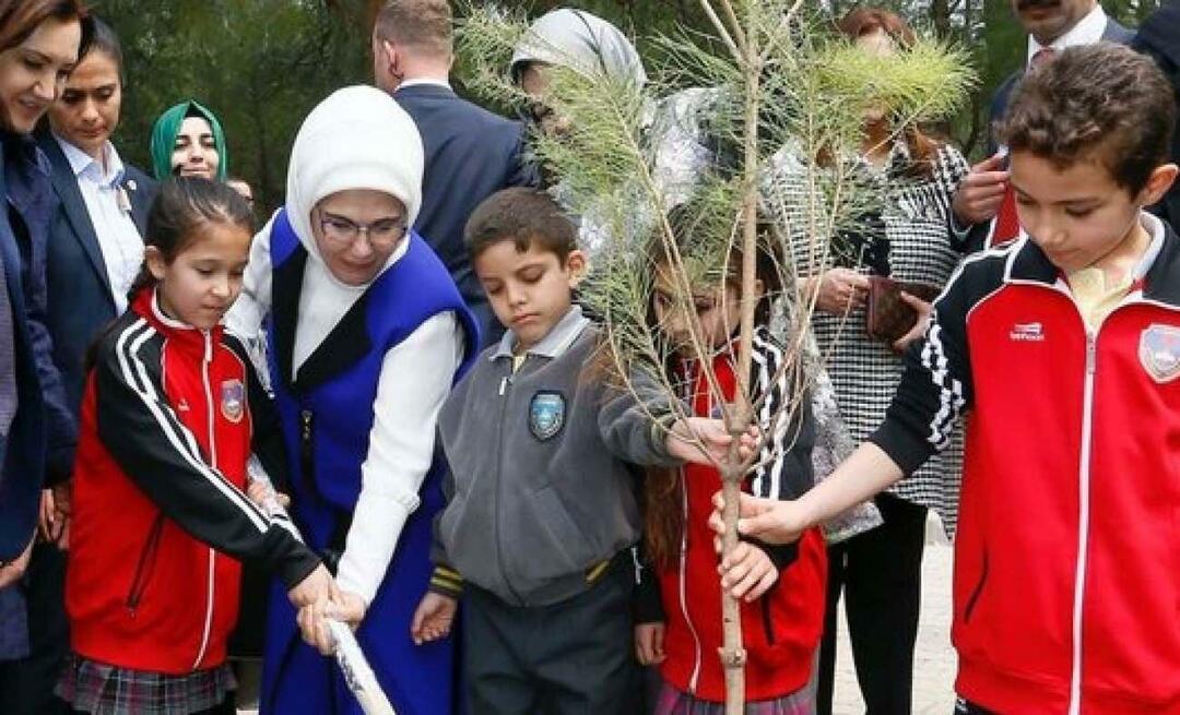 Nacionalinės apželdinimo mišku dienos pranešimas iš pirmosios ponios Erdoğan