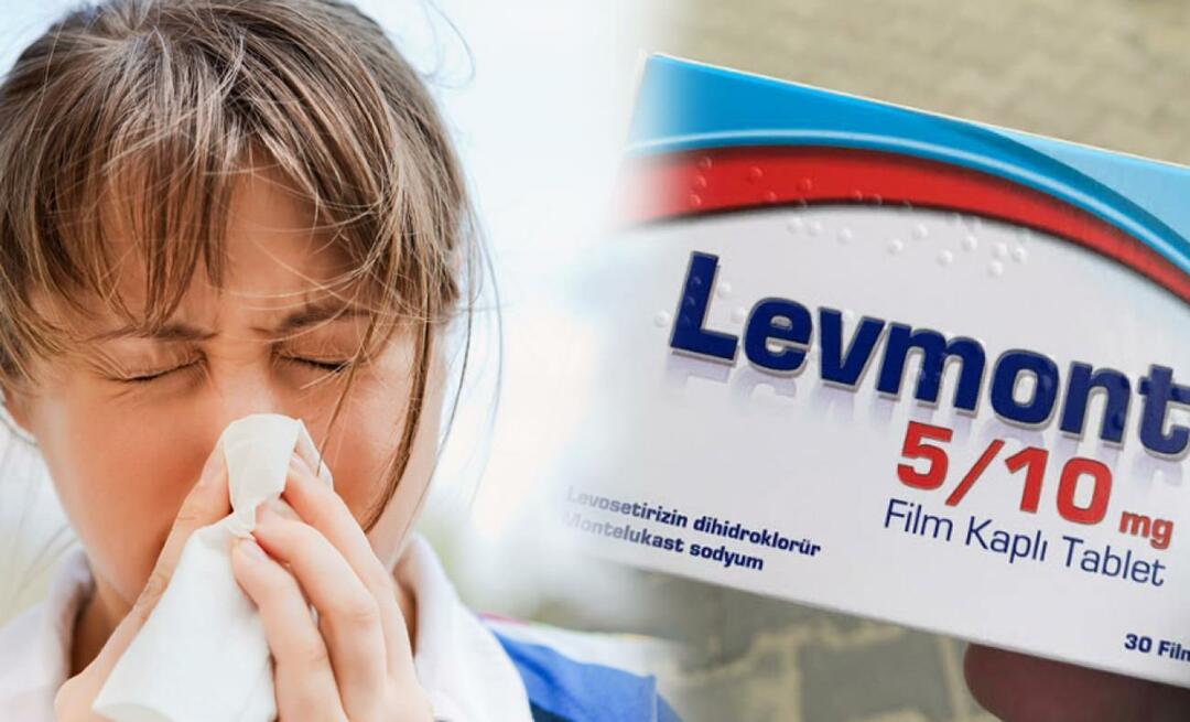 Kas yra Levmont ir kam jis vartojamas? Levmont šalutinis poveikis! Levmont kaina 2023m