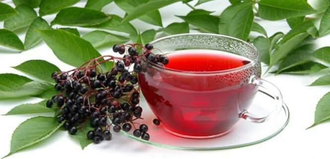 šeivamedžio uogų arbata suteikia neįtikėtiną naudą imuninei sistemai