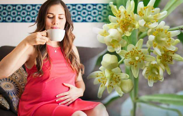 Ar žolelių arbata geriama nėštumo metu? Rizikinga žolelių arbata nėštumo metu