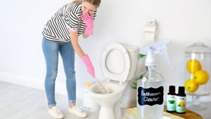 Kaip pasigaminti tualeto purškimą namuose? Natūralaus tualeto valiklio paruošimo patarimai