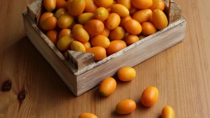 Kokie yra „Kumquat“ („Kumkat“) pranašumai? Kokioms ligoms kumquat tinka? Kaip vartojamas kumquat?