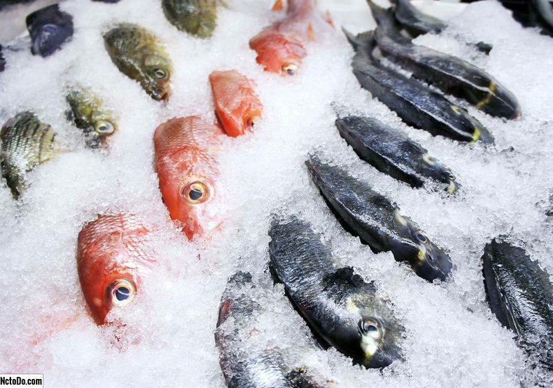 Kaip laikyti žuvį šaldiklyje? Kokie yra patarimai, kaip laikyti žuvį šaldiklyje?