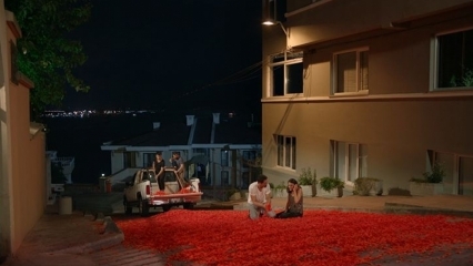 Onūro Tuno santuokos pasiūlymas su 100 tūkstančių rožių lapų!