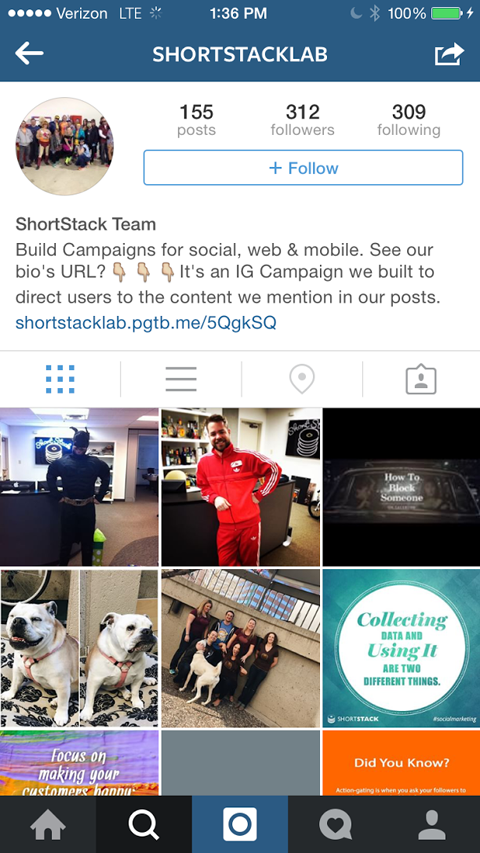shortstach instagram konkurso nuorodos vaizdas