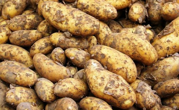 Ką veikia bulvių sultys?