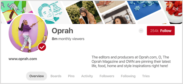 „Pinterest“ profilio pavyzdys, kuriame rodoma mėnesio žiūrovų statistika