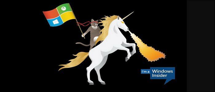 „Windows Insider Ninja Cat Unicorn“