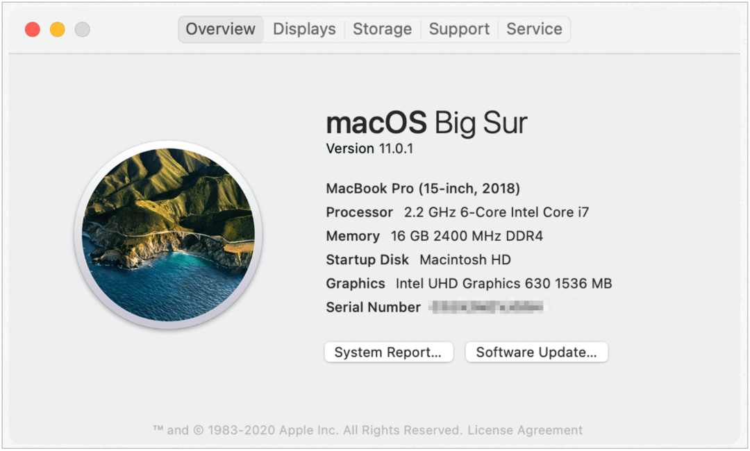 „Mac“ versijos pavyzdys