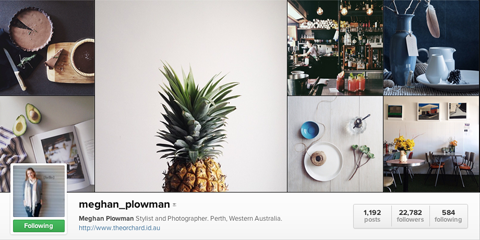meghan plowman instagram profile