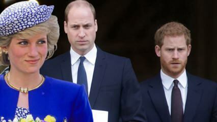Kaltinkite BBC princus... Princas Williamas: Šis interviu išardė mūsų šeimą!