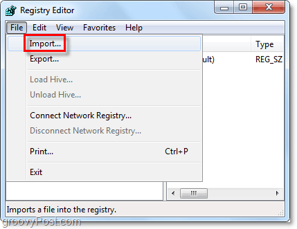 registro importavimas Windows 7 ir Vista